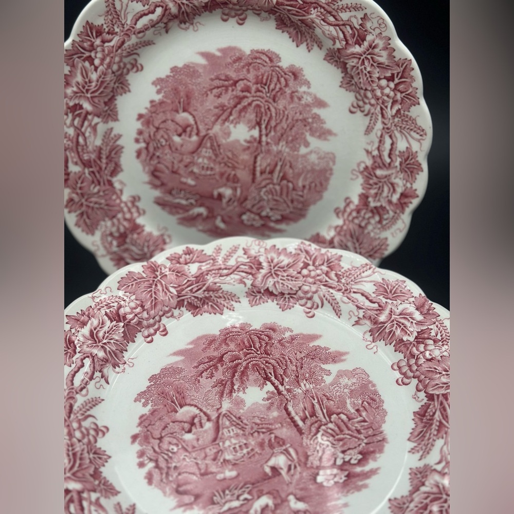 2 Vintage Booths Dinner Plates “British Scenery Pink Pattern A8024 | Scalloped